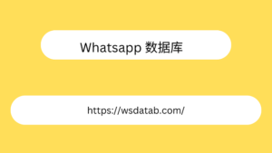 Whatsapp 数据库